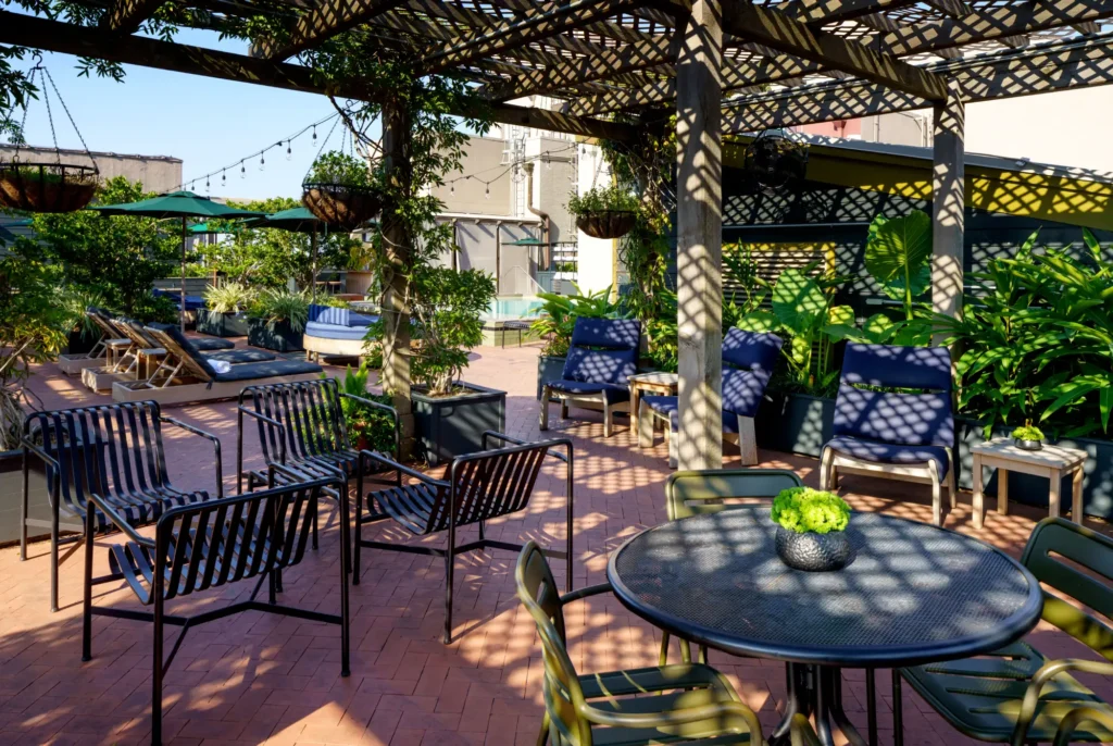 a patio with a table and chairs and a potted plant